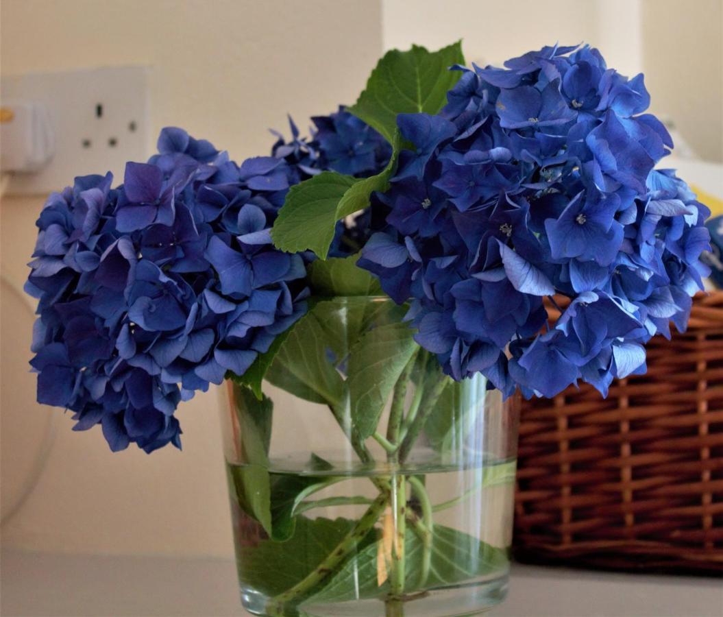 Remarkable Apartment In Kenmare Ireland Ngoại thất bức ảnh